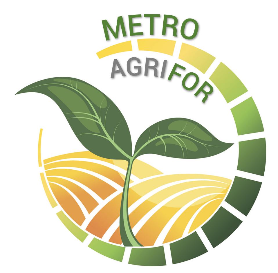 logoagrifor