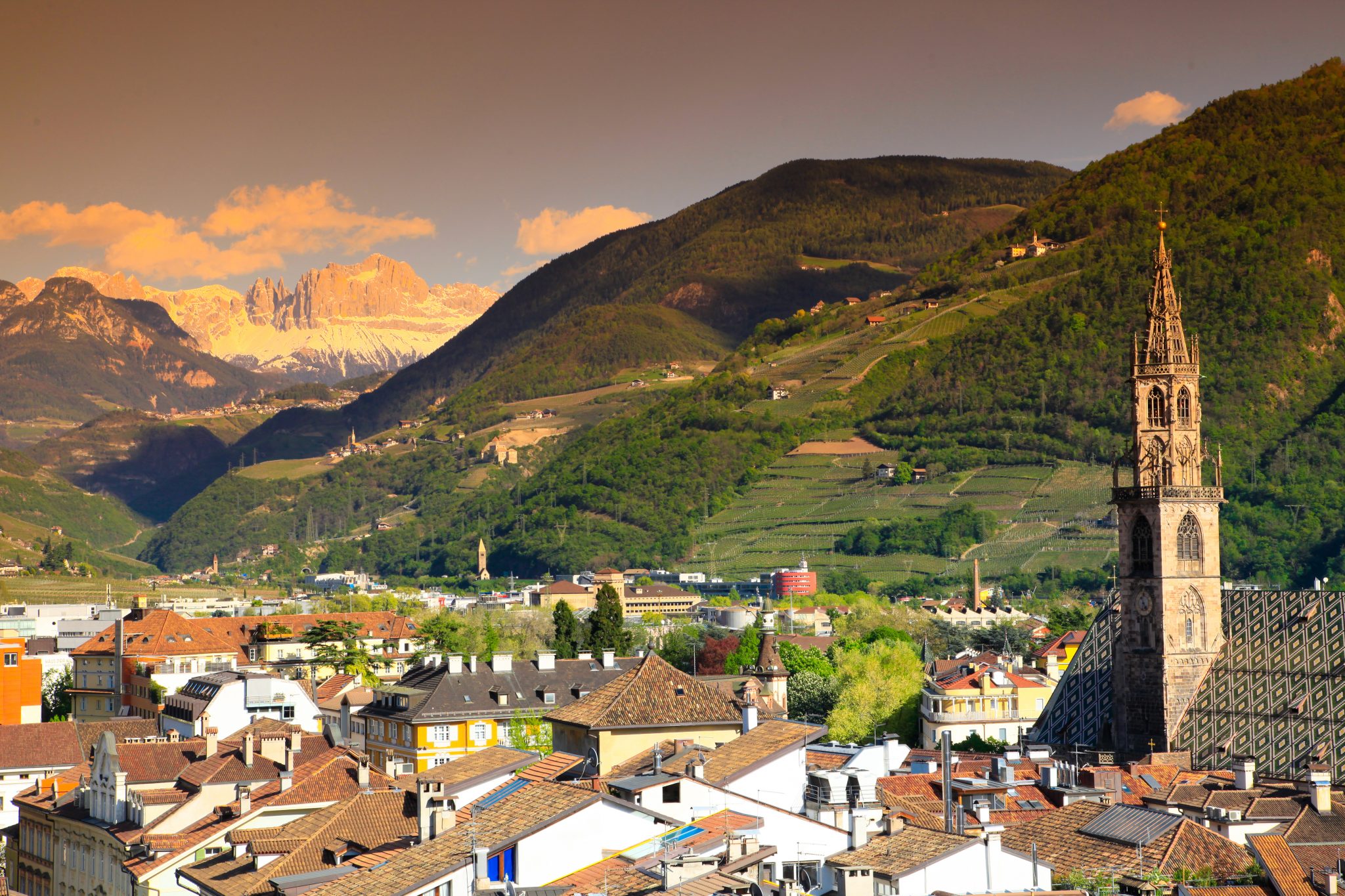 https://www.metroagrifor.org/maf2021/sites/default/files/revslider/image/BOLZANO-55-Panorama-2.jpg